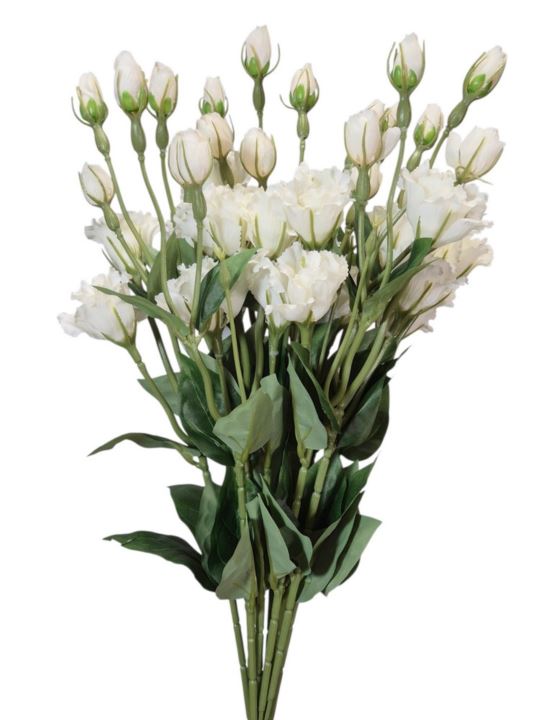 EUSTOMA DROBNA PICK 56CM LZ021E WHITE