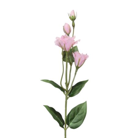 EUSTOMA DROBNA PICK 56CM LZ021E POWDER PINK