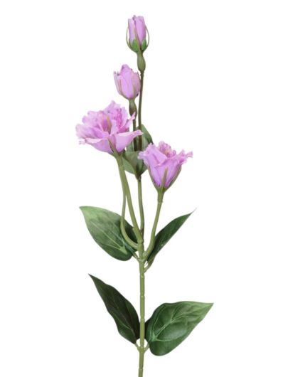 EUSTOMA DROBNA PICK 56CM LZ021E LAVENDER