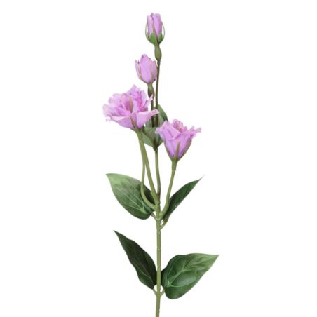 EUSTOMA DROBNA PICK 56CM LZ021E LAVENDER