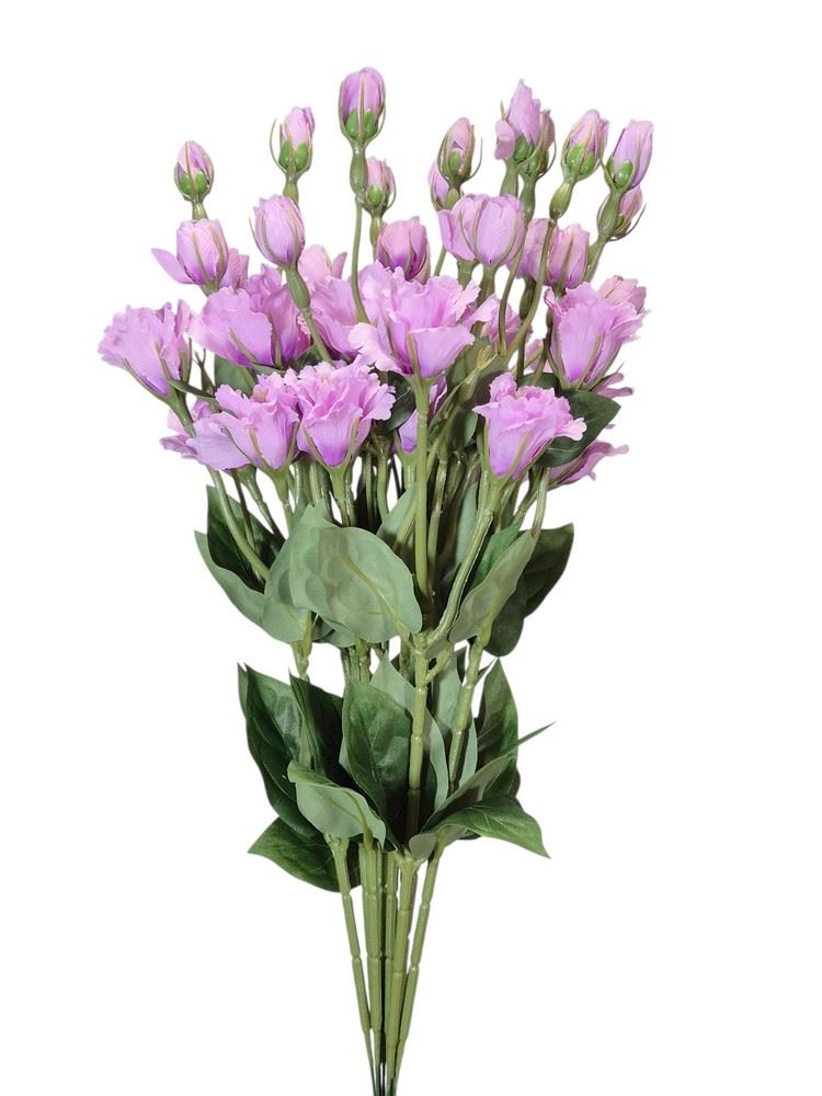 EUSTOMA DROBNA PICK 56CM LZ021E LAVENDER