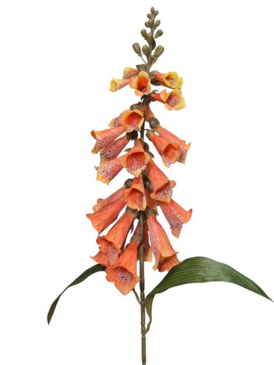 NAPARSTNICA GAŁĄZKA 80CM ORANGE
