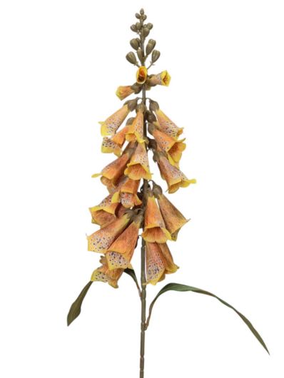 NAPARSTNICA GAŁĄZKA 80CM YELLOW TEA