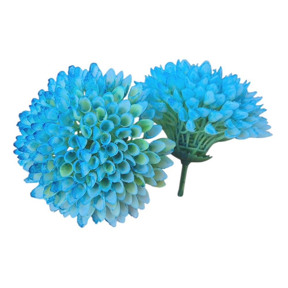 CZOSNEK DALIA GŁÓWKA 7CM BLUE