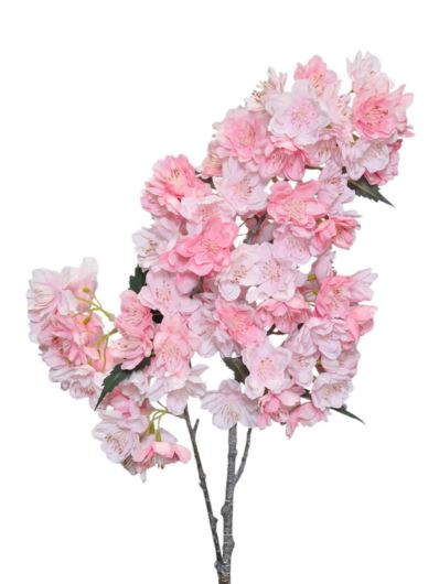 WIŚNIA JAPOŃSKA GAŁĄZKA KWITNĄCA 85CM LT PK DK PK