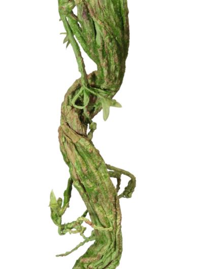 KORZEŃ GAŁĄŹ MECH 110CM GREEN