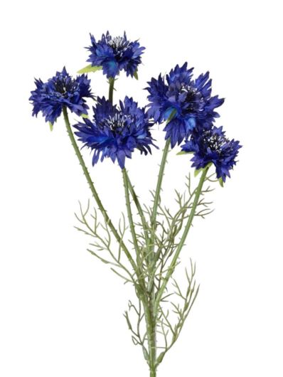 CHABER GAŁĄZKA 57CM DK BLUE