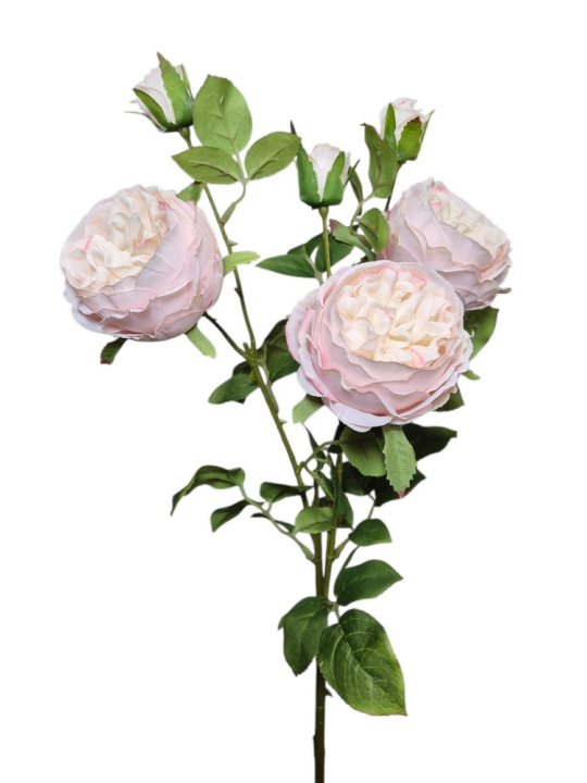 RÓŻA ANGIELSKA GAŁĄZKA 62CM LT PINK