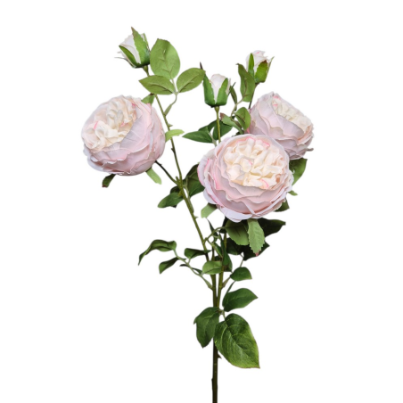 RÓŻA ANGIELSKA GAŁĄZKA 62CM LT PINK
