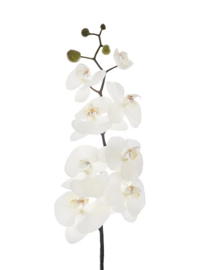 STORCZYK PHALENOPSIS 95CM SUN878 WHITE