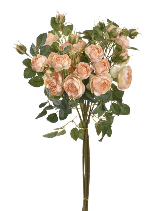 RÓŻA MINI NA GAŁĄZCE 50CM SUN760 REAL PEACH