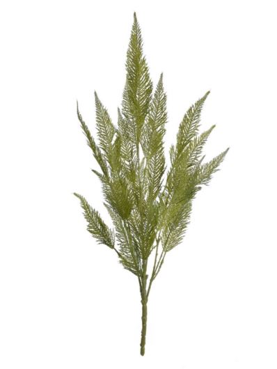 PAPROĆ 74CM JUN105 GREEN