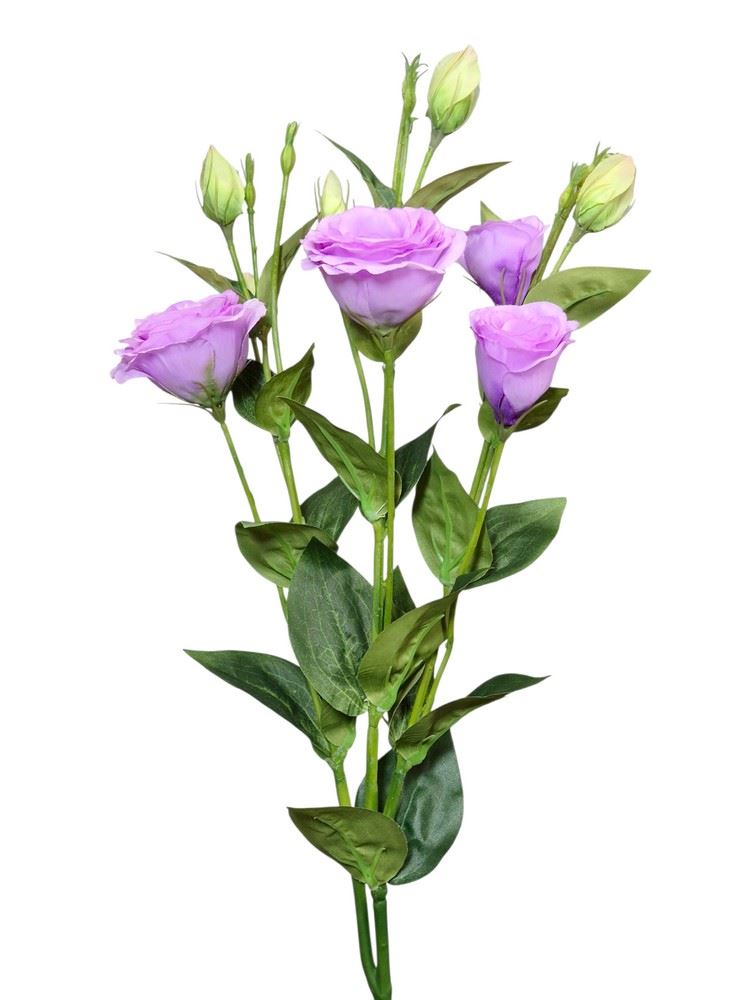 EUSTOMA GAŁĄZKA NEW 75CM AJ03038 LT PURPLE