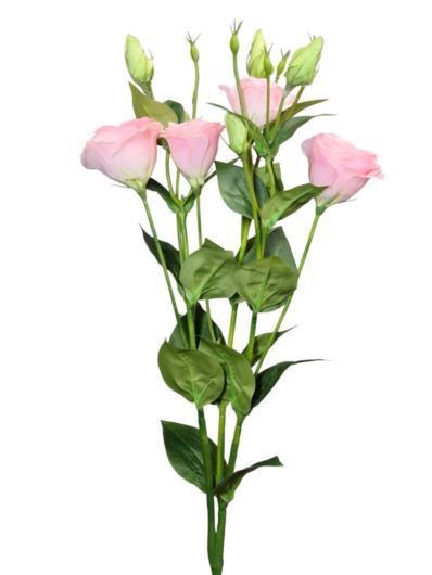 EUSTOMA GAŁĄZKA NEW 75CM AJ03038 PINK