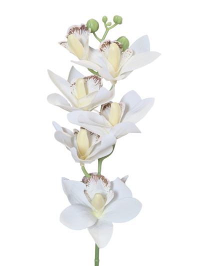 STORCZYK CYMBIDIUM PICK 44CM FJ065 RT WHITE