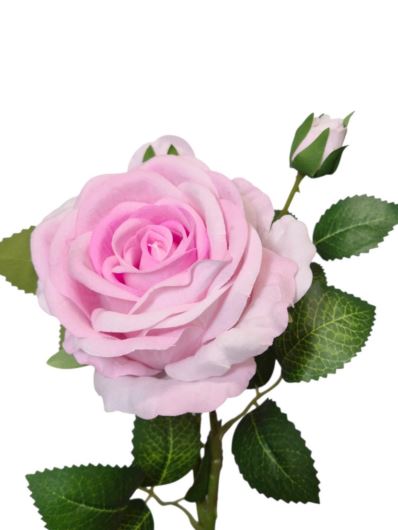 RÓŻA VELVET Z PĄKIEM 75CM ZB036 9 LT PINK