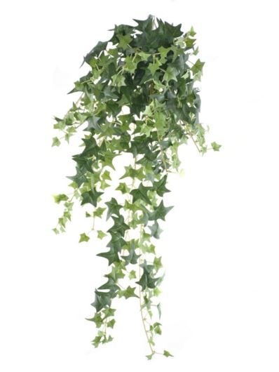 BLUSZCZ HEDERA BL089 70CM GREEN