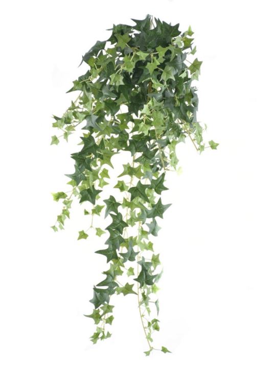 BLUSZCZ HEDERA BL089 70CM GREEN