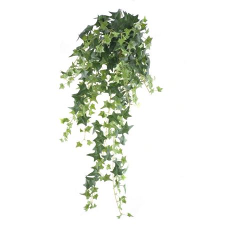 BLUSZCZ HEDERA BL089 70CM GREEN
