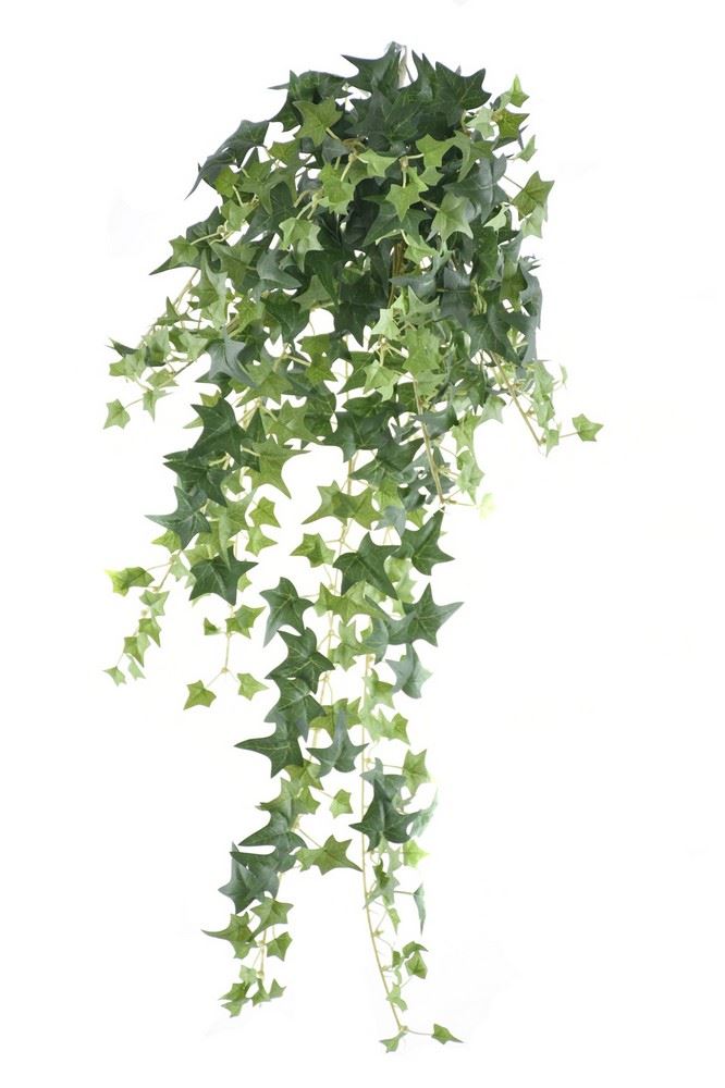 BLUSZCZ HEDERA BL089 70CM GREEN