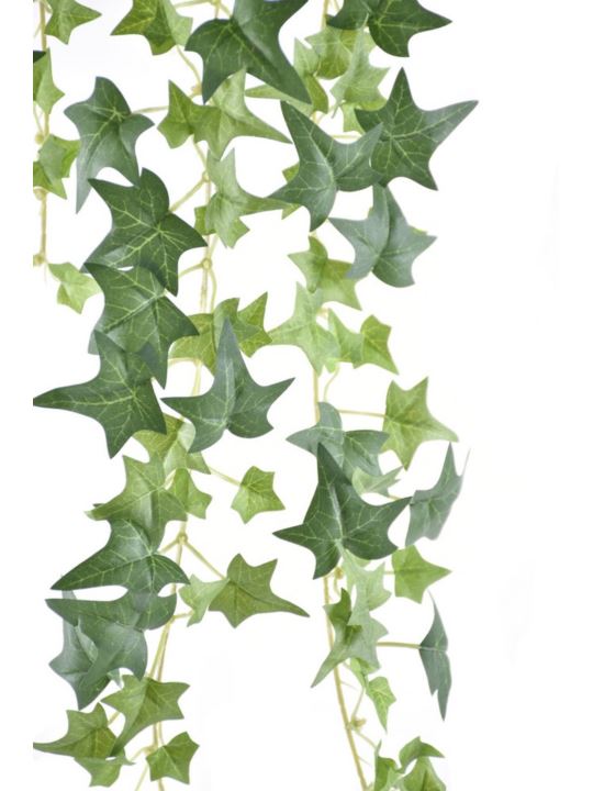 BLUSZCZ HEDERA BL089 70CM GREEN