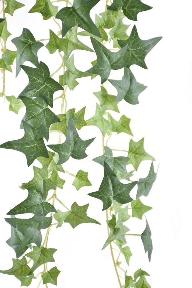 BLUSZCZ HEDERA BL089 70CM GREEN