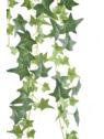 BLUSZCZ HEDERA BL089 70CM GREEN