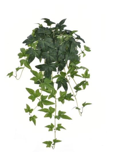 BLUSZCZ HEDERA BL080 60CM GREEN