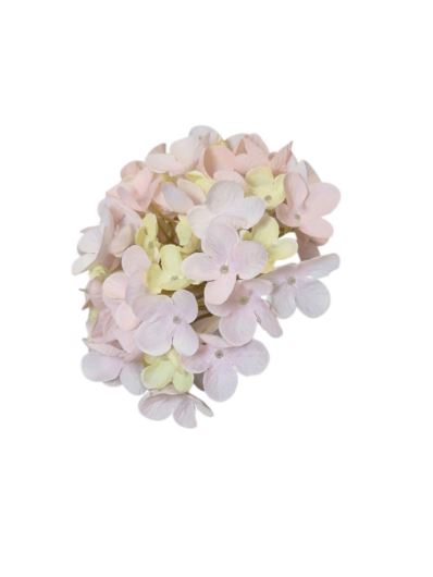 HORTENSJA DROBNA – GŁOWA 14CM MY110  1 PINK