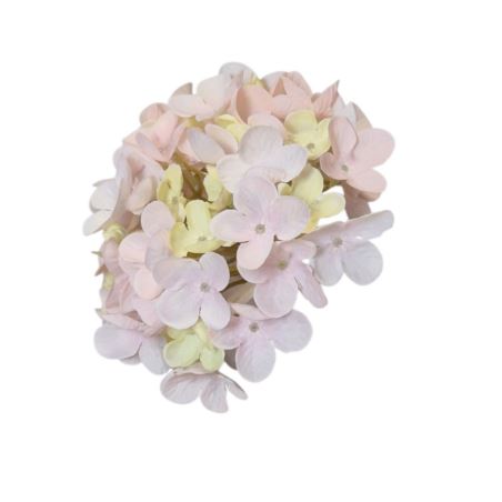 HORTENSJA DROBNA – GŁOWA 14CM MY110  1 PINK