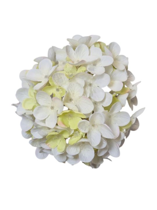 HORTENSJA DROBNA – GŁOWA 14CM MY110 3 CREAM GREEN