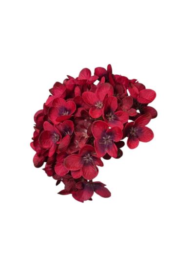 HORTENSJA DROBNA – GŁOWA 14CM MY110 DK RED