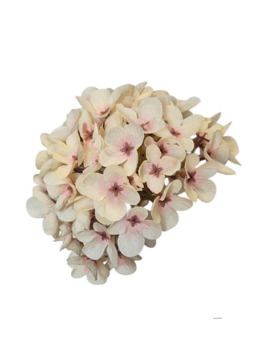 HORTENSJA DROBNA – GŁOWA 14CM MY110 PEACH