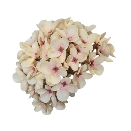 HORTENSJA DROBNA – GŁOWA 14CM MY110 PEACH