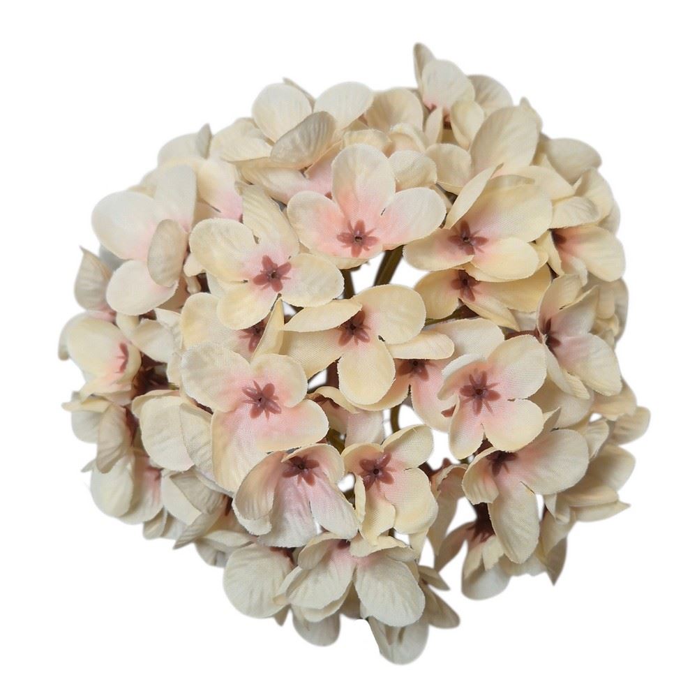 HORTENSJA DROBNA – GŁOWA 14CM MY110 PEACH