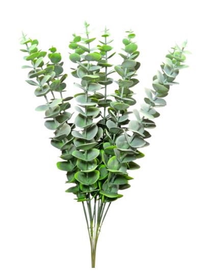 EUKALIPTUS GAŁĄZKA PIK 48CM MCH001 POWDER GREEN
