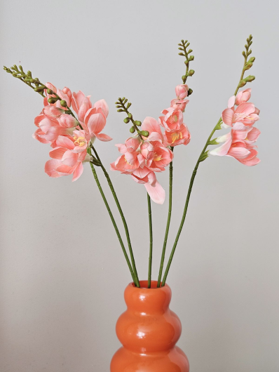 FREZJA POJEDYNCZA 55CM AJ01907 CORAL