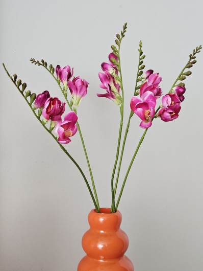 FREZJA POJEDYNCZA 55CM AJ01907 BEAUTY