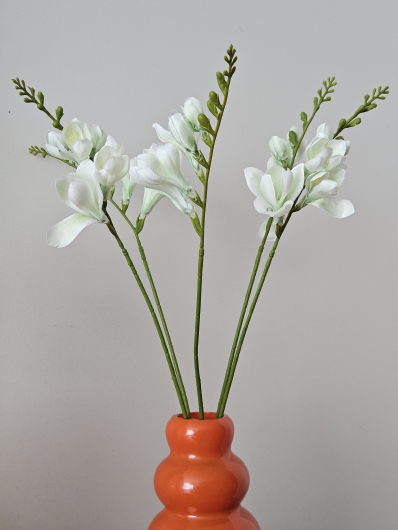 FREZJA POJEDYNCZA 55CM AJ01907 WHITE