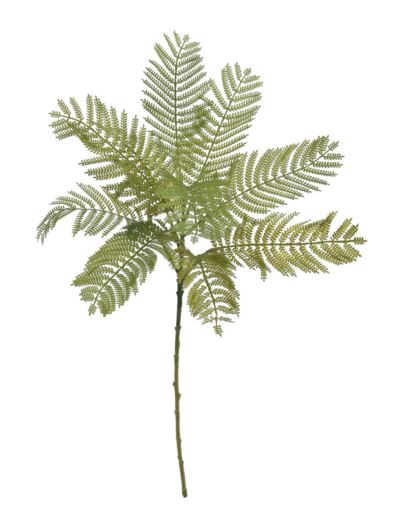 PAPROĆ LEŚNA GAŁĄZKA 74CM JUN093 GREEN