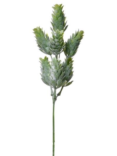 SZYSZKA CHMIELU PIK 30CM TIK034 POWDER GREEN
