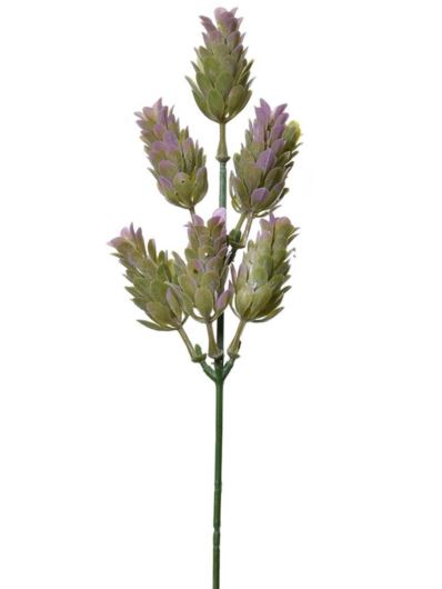 SZYSZKA CHMIELU PIK 30CM TIK034 LAVENDER GREEN