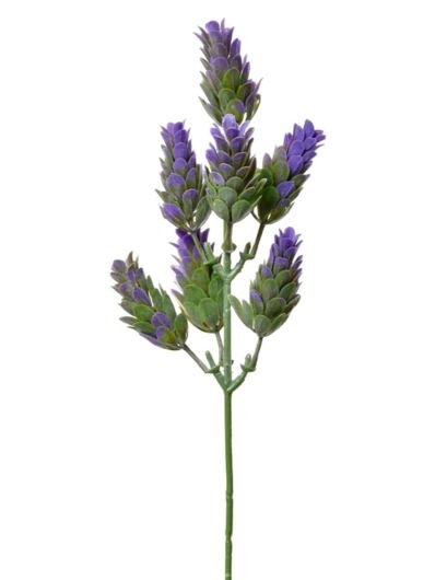 SZYSZKA CHMIELU PIK 30CM TIK034 VIOLET GREEN