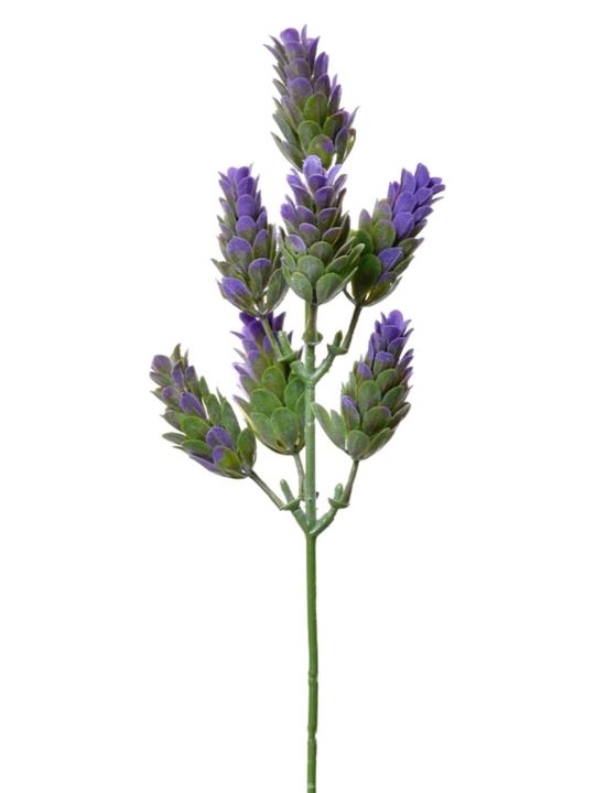 SZYSZKA CHMIELU PIK 30CM TIK034 VIOLET GREEN