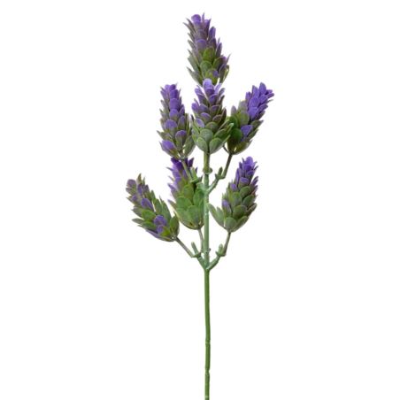 SZYSZKA CHMIELU PIK 30CM TIK034 VIOLET GREEN