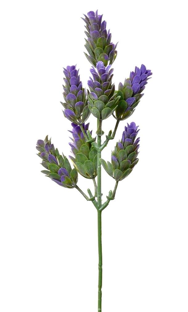 SZYSZKA CHMIELU PIK 30CM TIK034 VIOLET GREEN