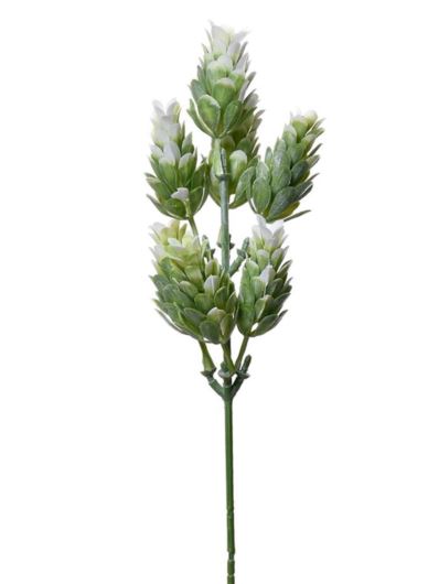 SZYSZKA CHMIELU PIK 30CM TIK034 WHITE GREEN