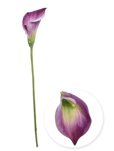 KALLA SINGLE 70CM NOWA-PRINT DON006 LILAC GREEN