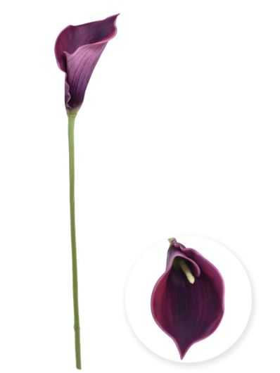 KALLA SINGLE 70CM NOWA-PRINT DON006 PLUM