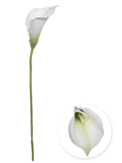 KALLA SINGLE 70CM NOWA-PRINT DON006 WHITE